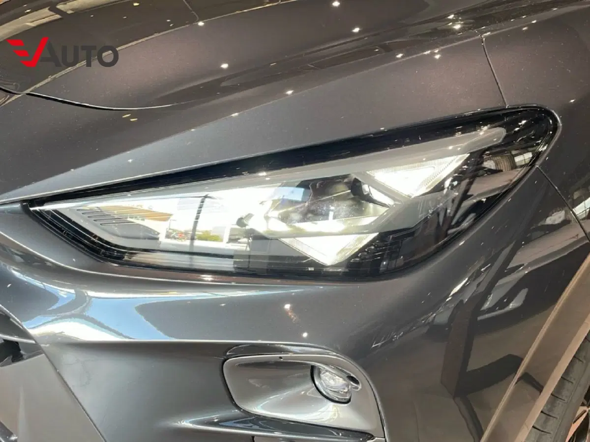 Cupra Terramar nuova a Alessandria (13)
