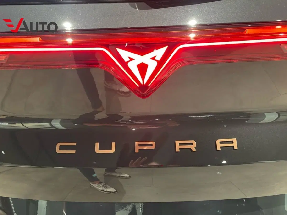 Cupra Terramar nuova a Alessandria (14)