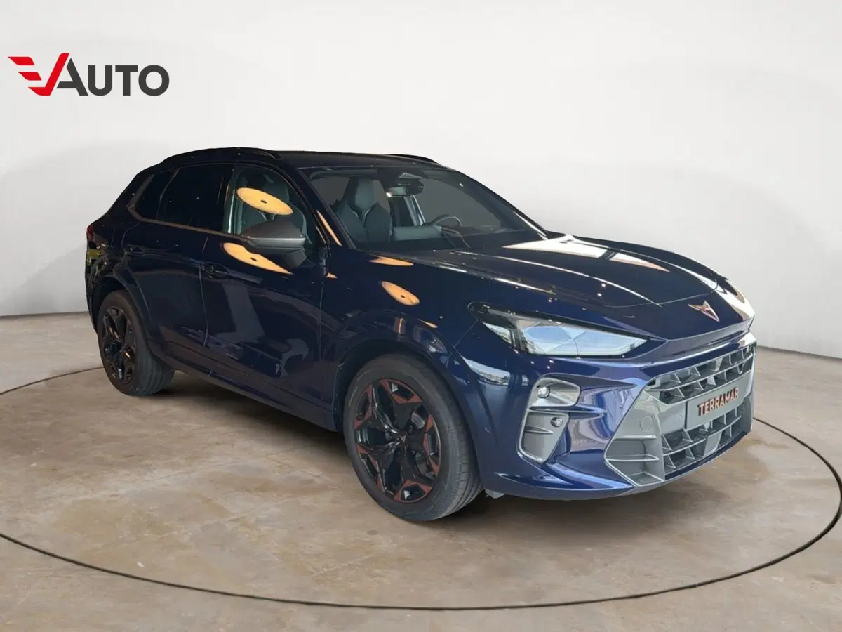 Cupra Terramar nuova a Aosta (8)