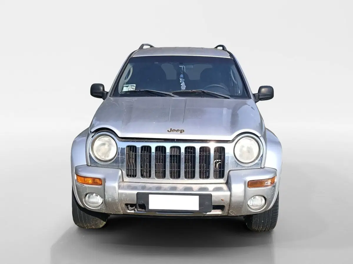Jeep Cherokee usata a Torino (2)