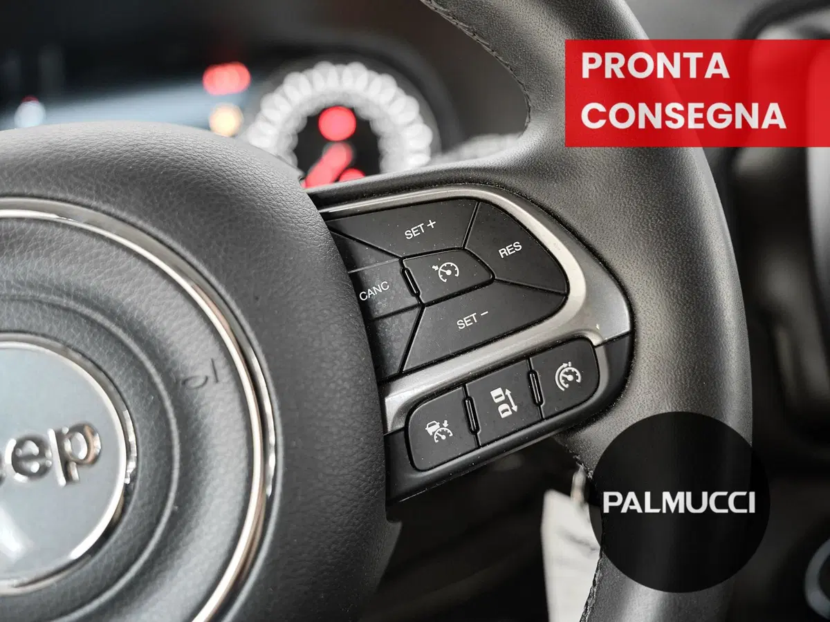 Jeep Renegade usata a Prato (15)
