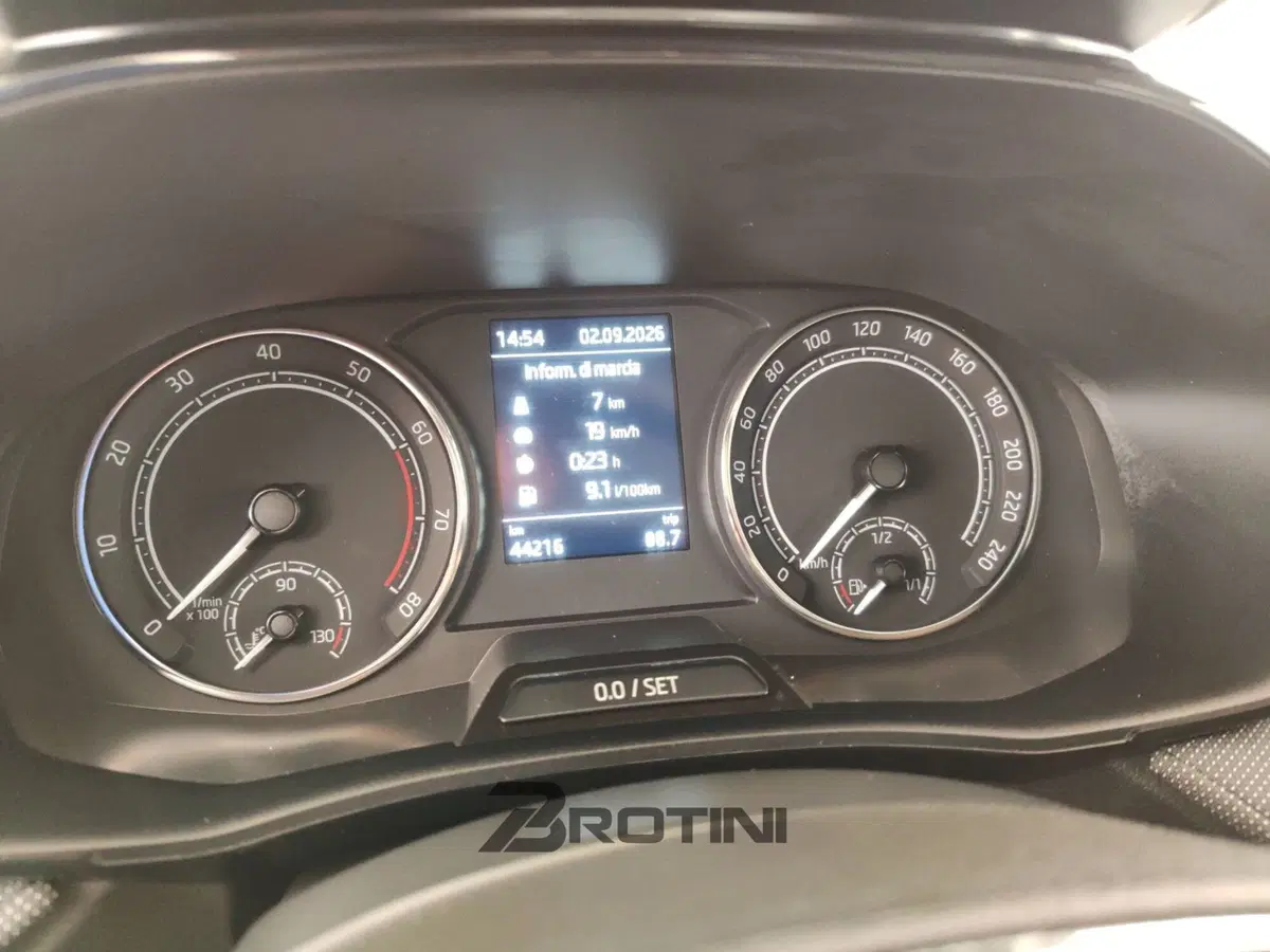 Skoda Fabia usata a Massa-Carrara (15)