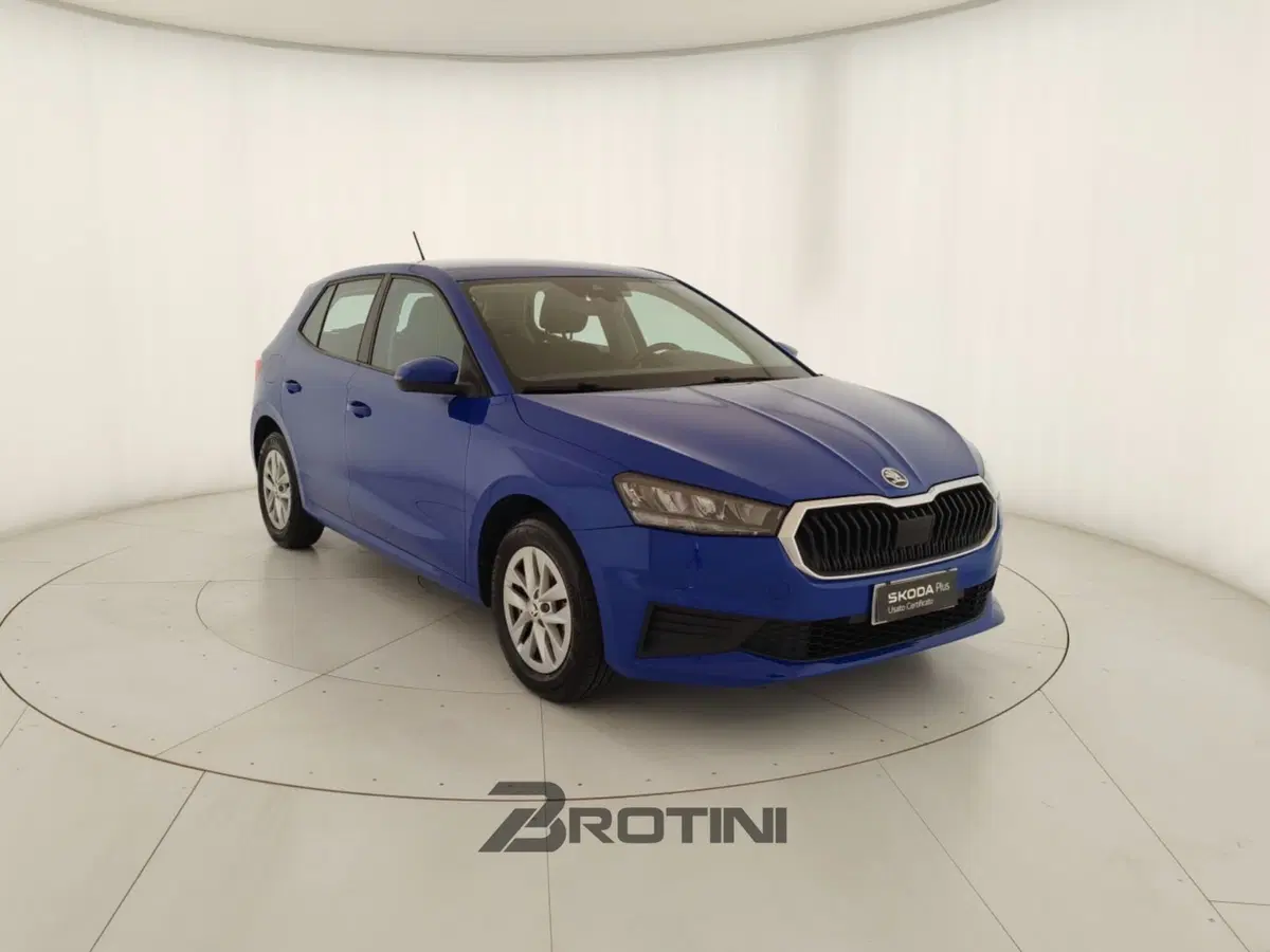 Skoda Fabia usata a Massa-Carrara (4)