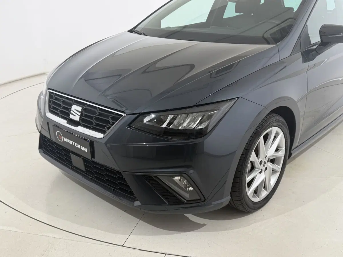 SEAT Ibiza usata a Perugia (2)