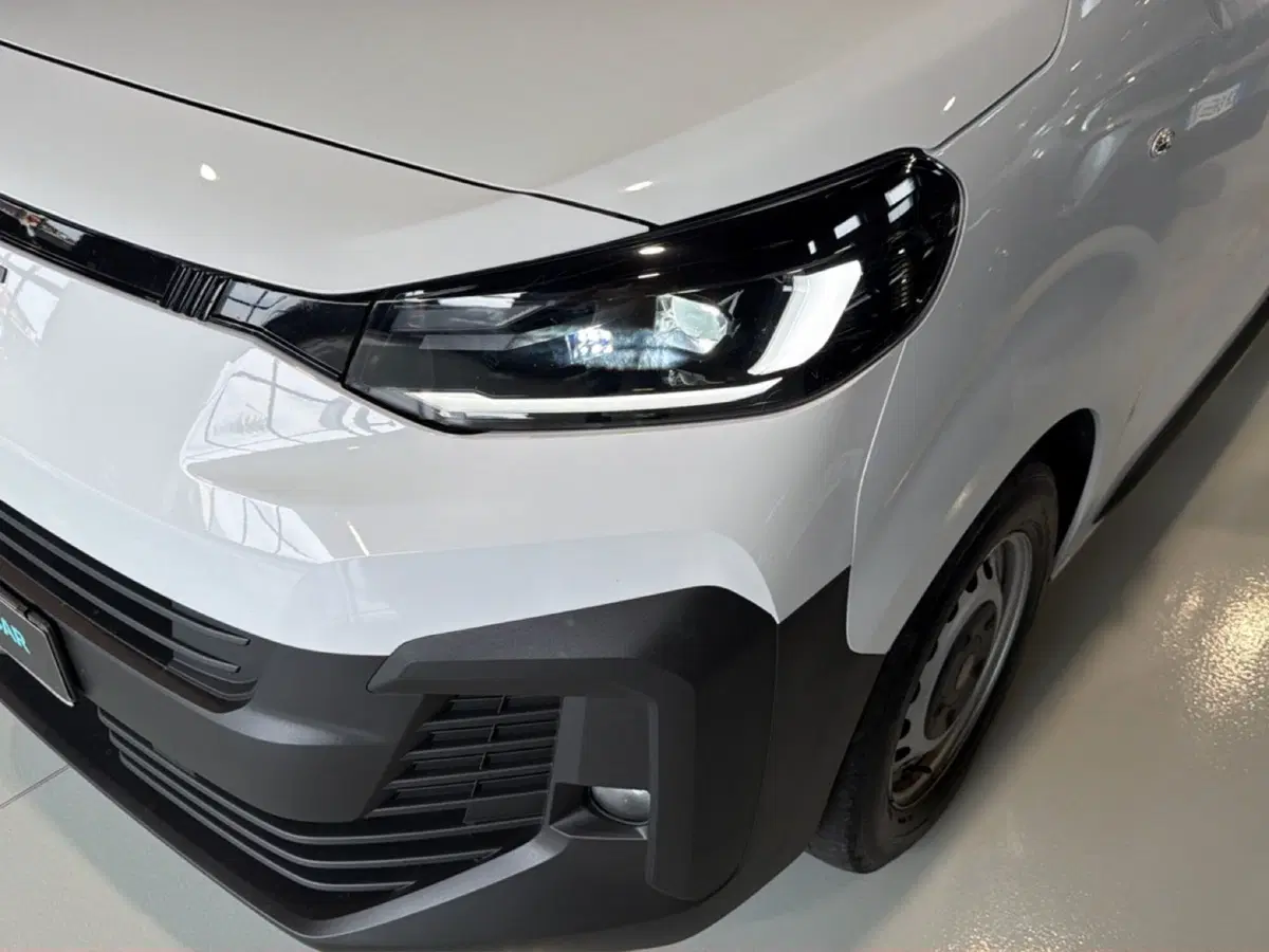 Fiat Scudo Furgone usata a Vicenza (9)