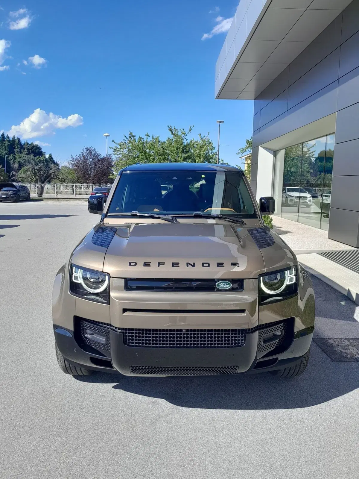 Land Rover Defender usata a Cuneo (2)