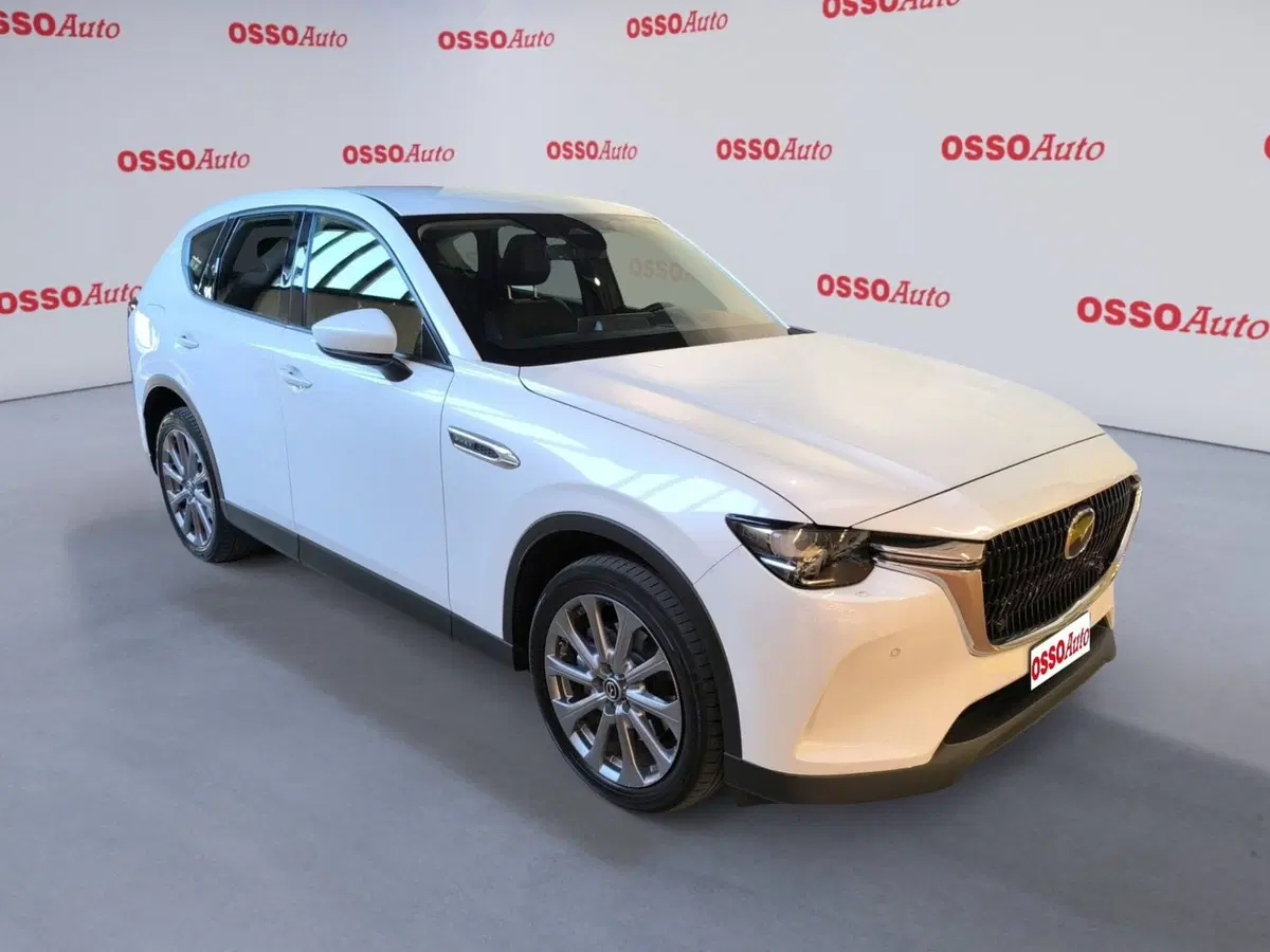 Mazda CX-60 usata a Udine (2)