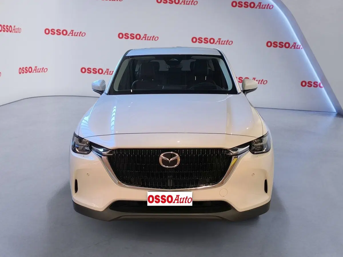 Mazda CX-60 usata a Udine (5)