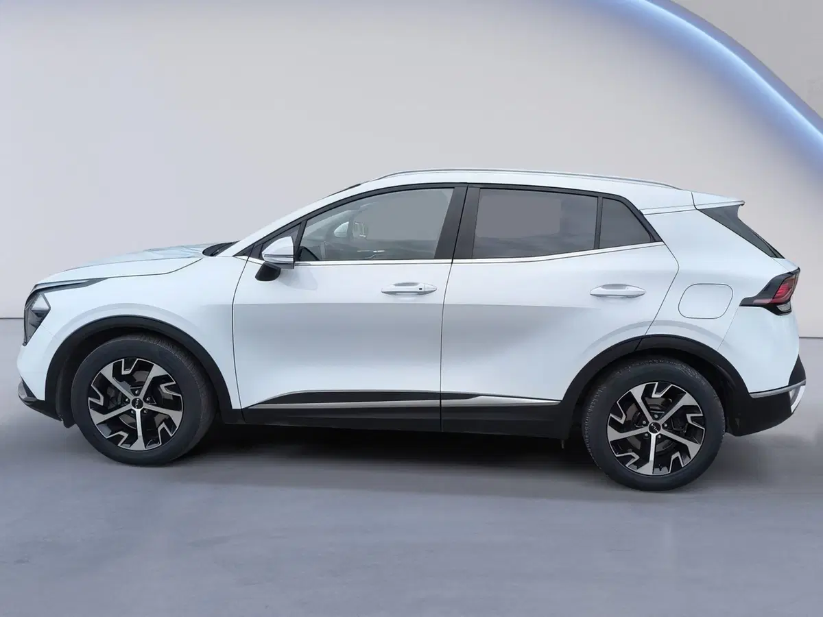 Kia Sportage usata a Padova (7)