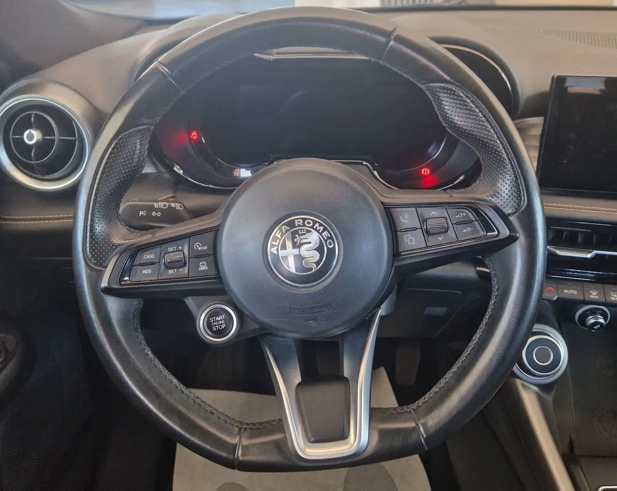 Alfa Romeo Tonale usata a Terni (11)