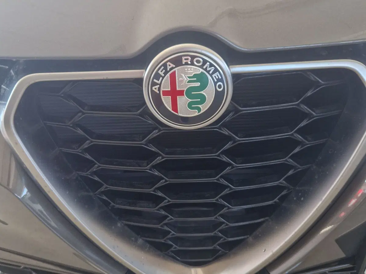 Alfa Romeo Tonale usata a Terni (17)