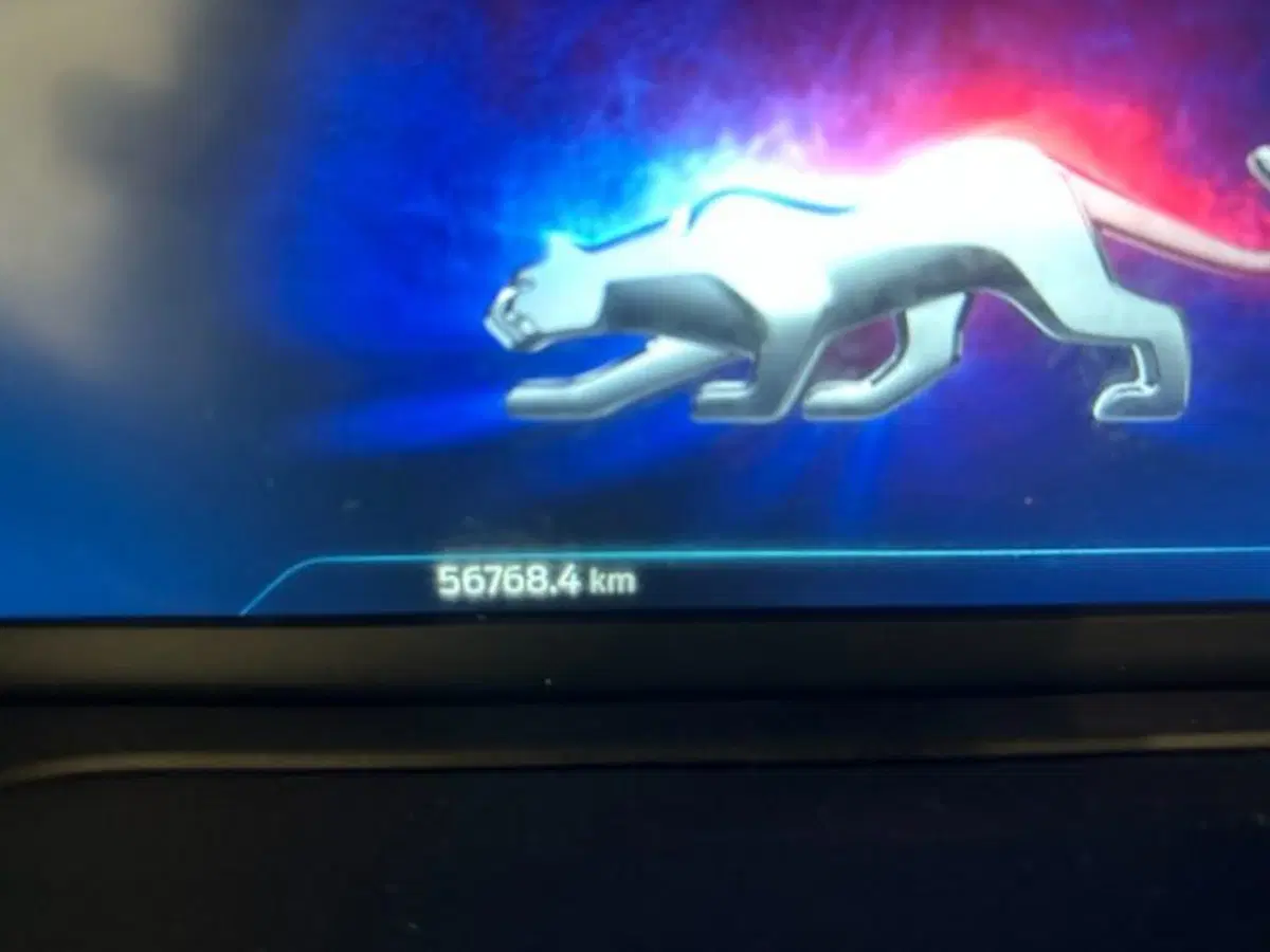 Ford Puma usata a Cuneo (17)