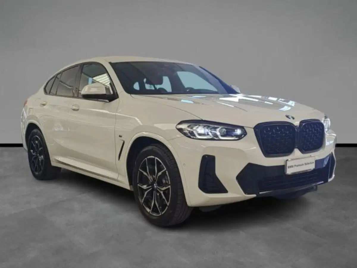 BMW X4 usata a Verona (15)
