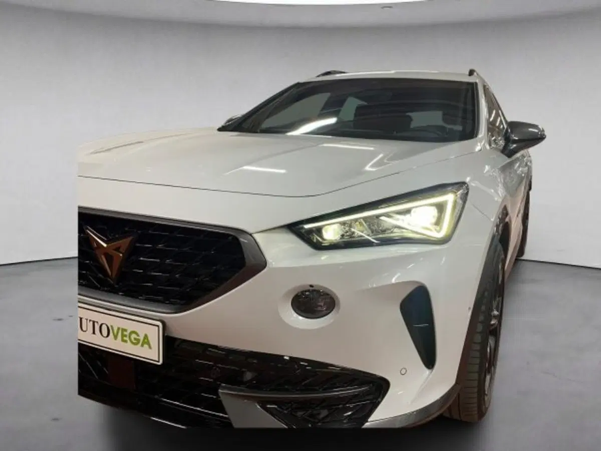 Cupra Formentor usata a Vicenza (19)