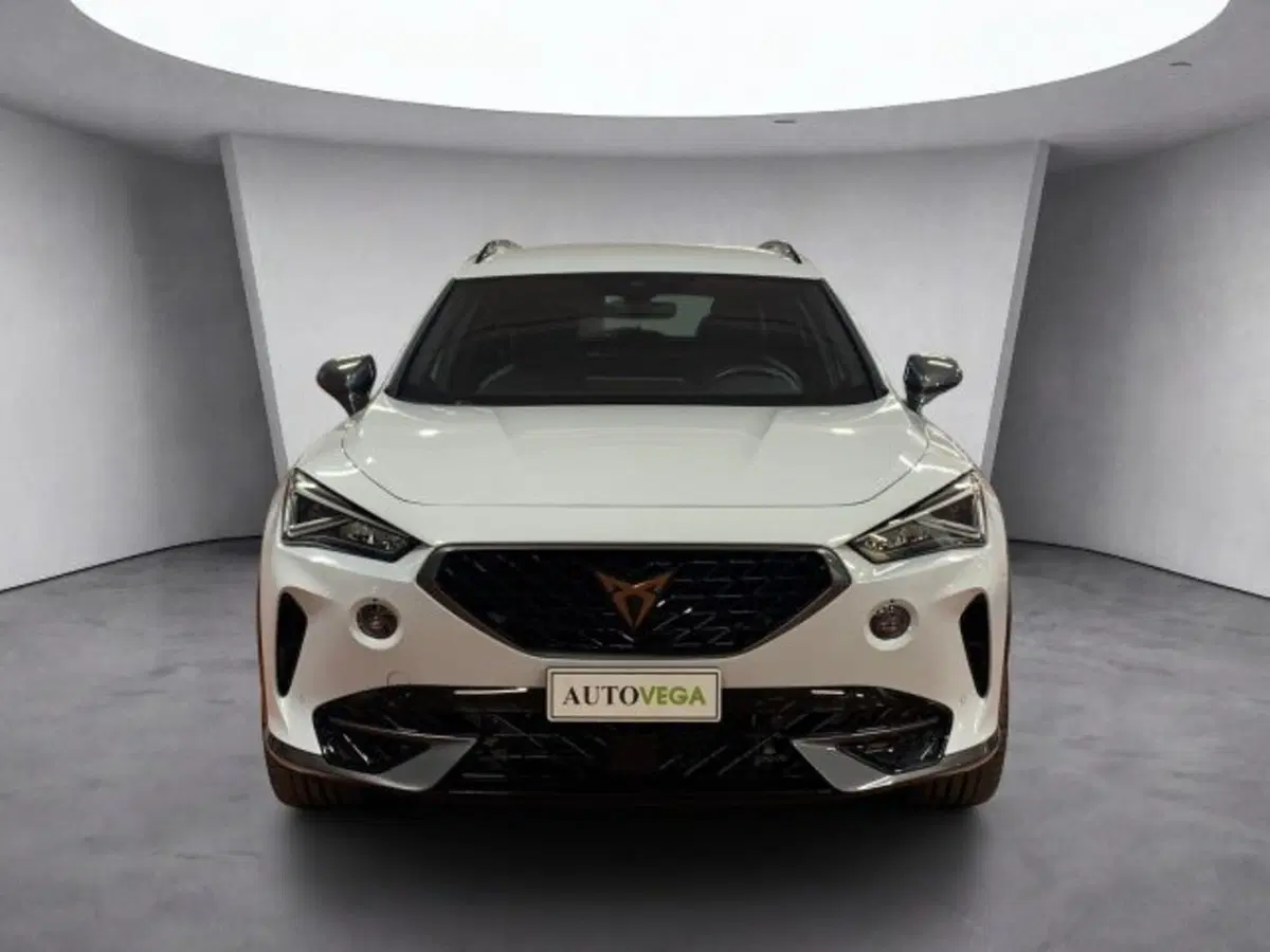 Cupra Formentor usata a Vicenza (2)
