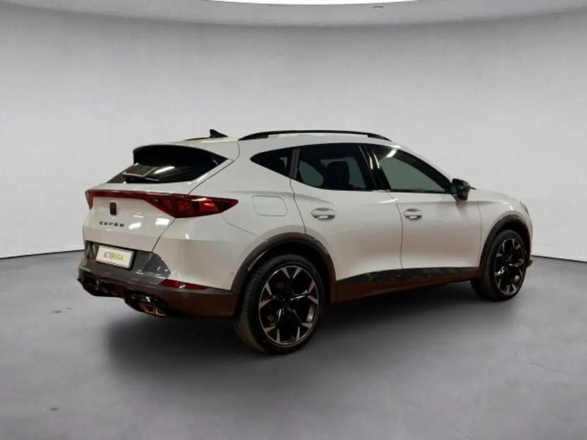 Cupra Formentor usata a Vicenza (4)