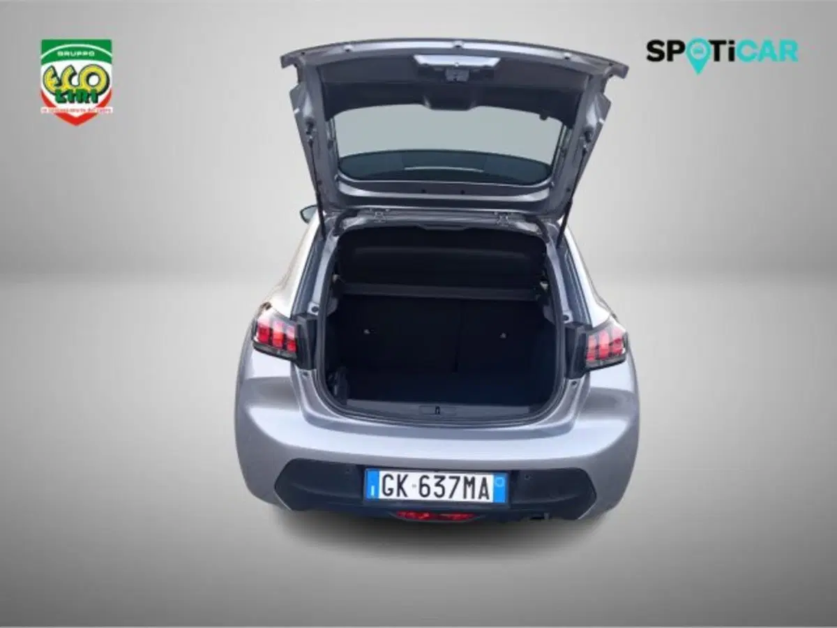 Peugeot 208 usata a Frosinone (8)