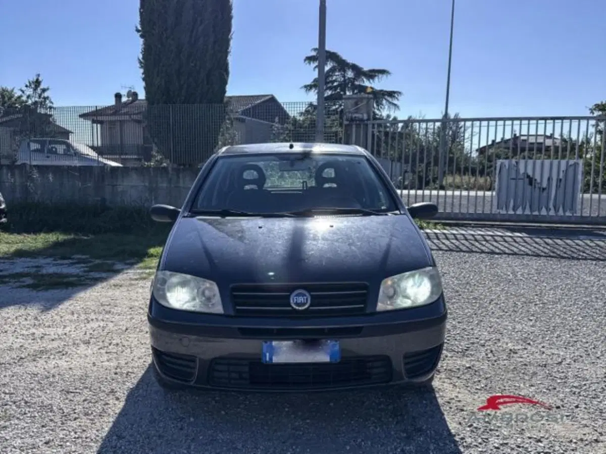 Fiat Punto usata a Perugia