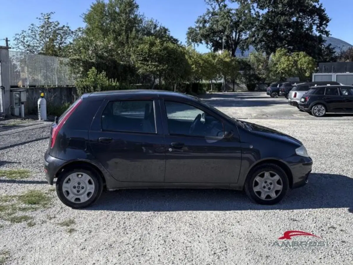 Fiat Punto usata a Perugia (2)