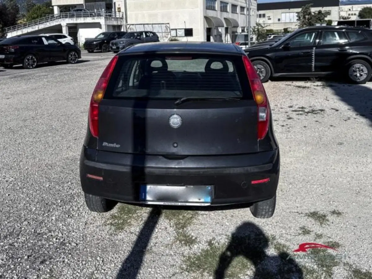 Fiat Punto usata a Perugia (4)