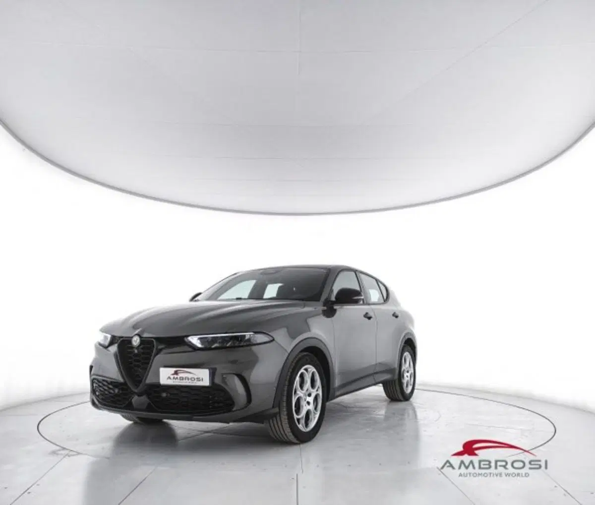 Alfa Romeo Tonale usata a Perugia