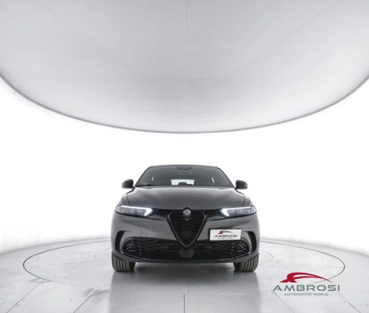 Alfa Romeo Tonale usata a Perugia (5)