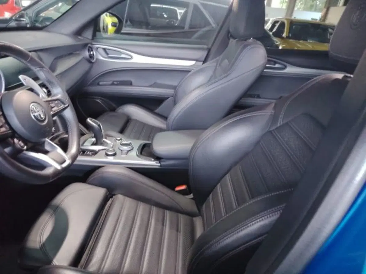 Alfa Romeo Stelvio usata a Forlì-Cesena (13)