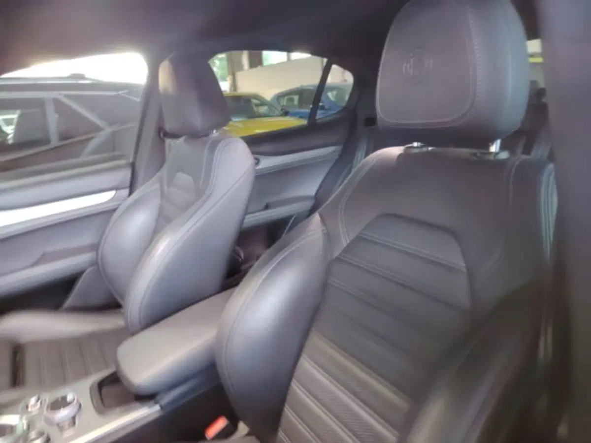 Alfa Romeo Stelvio usata a Forlì-Cesena (16)