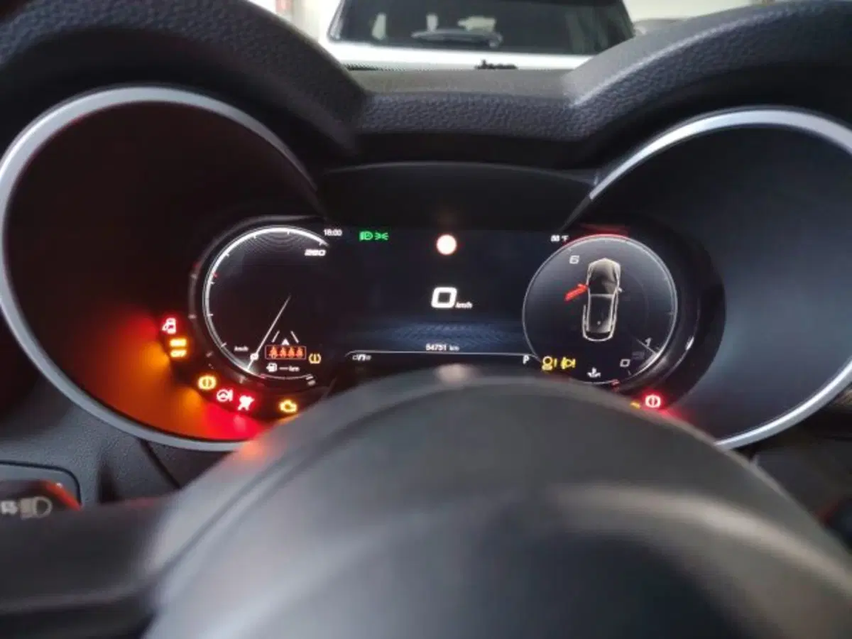 Alfa Romeo Stelvio usata a Forlì-Cesena (19)