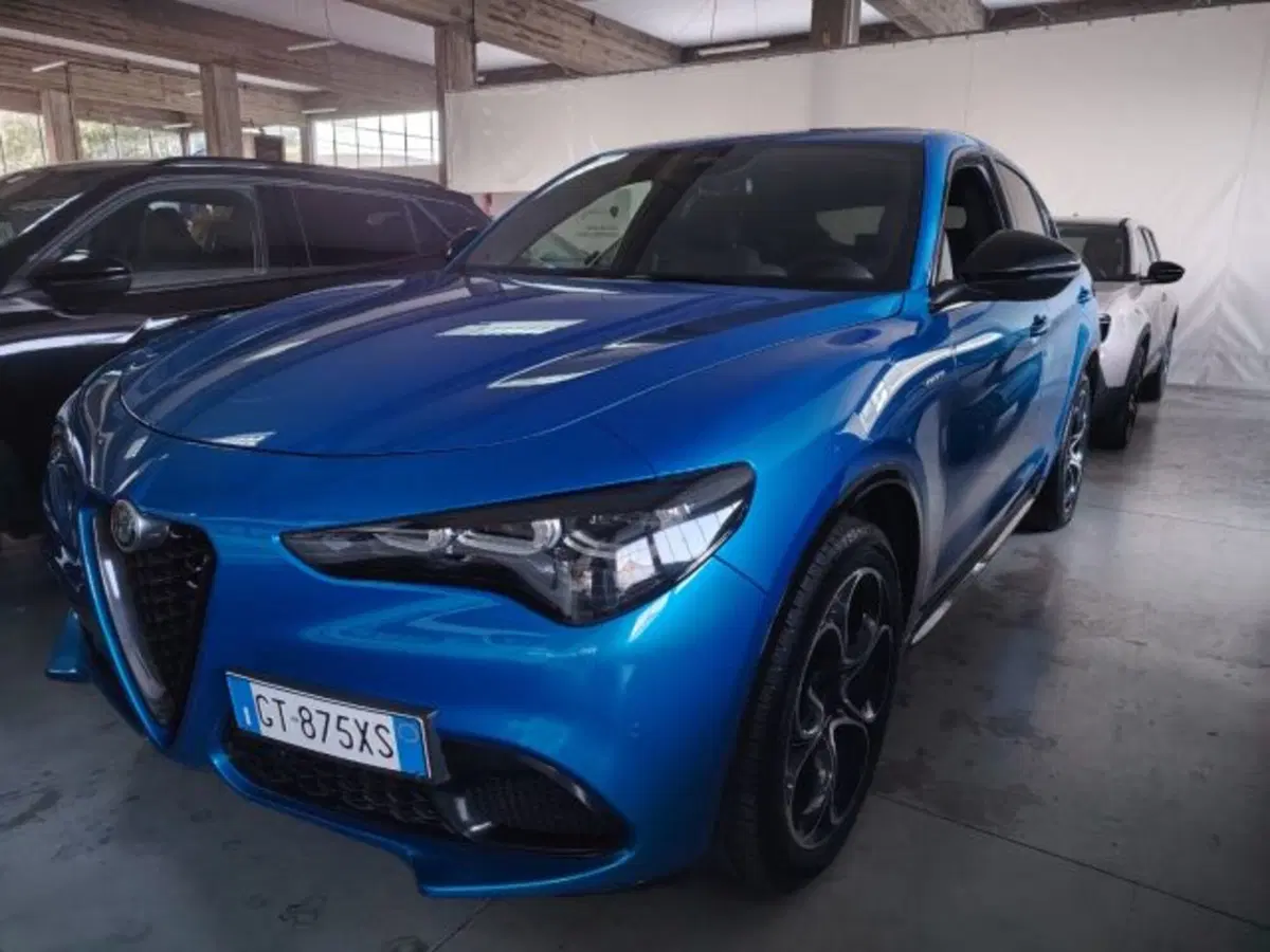 Alfa Romeo Stelvio usata a Forlì-Cesena (2)
