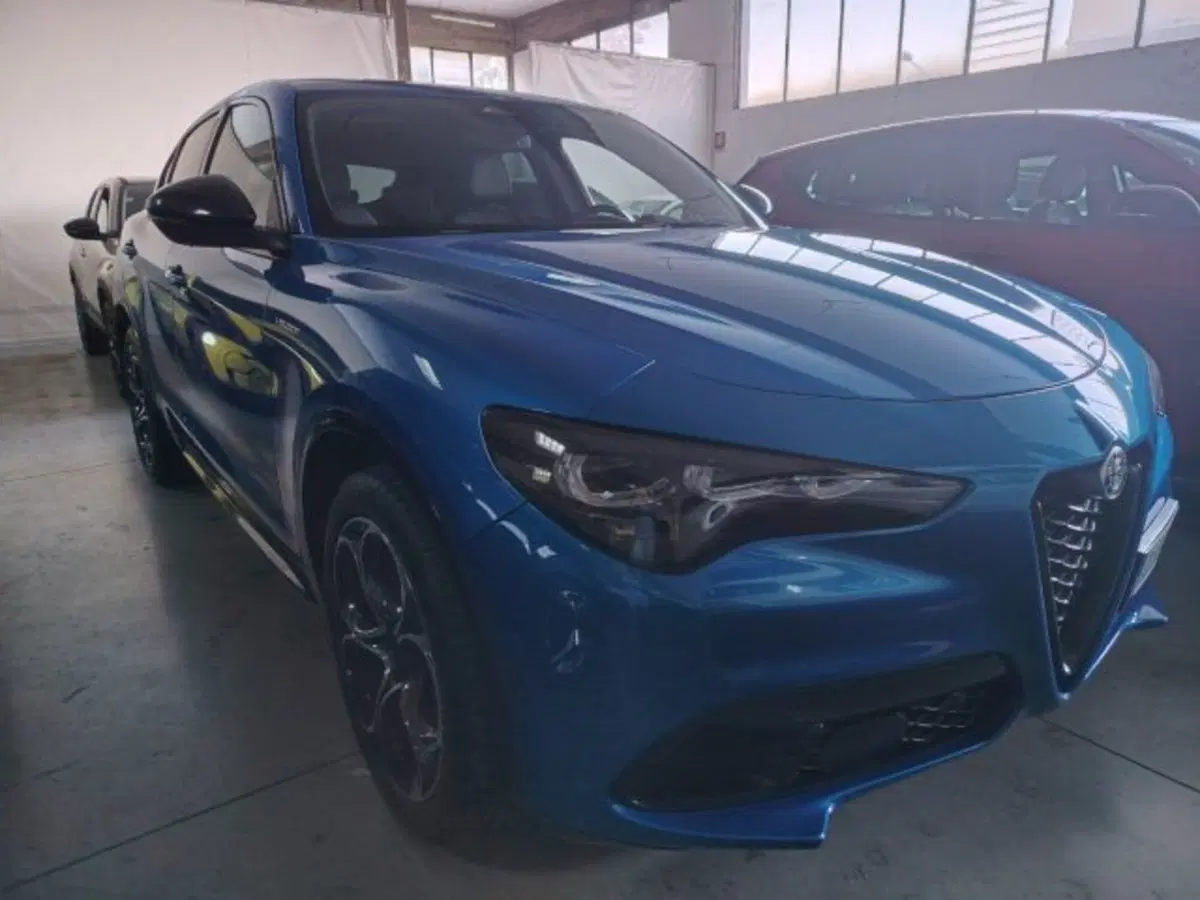 Alfa Romeo Stelvio usata a Forlì-Cesena (4)