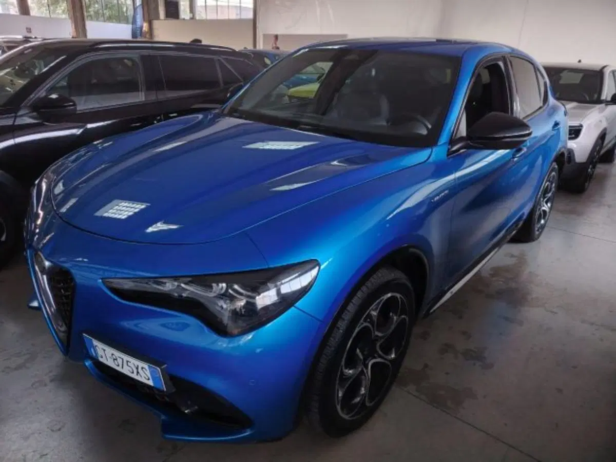 Alfa Romeo Stelvio usata a Forlì-Cesena (5)