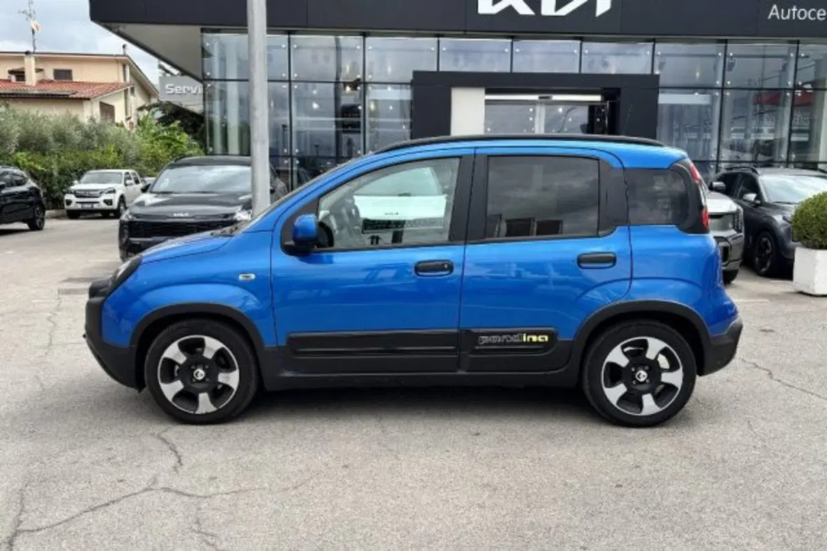 Fiat Panda Cross usata a Latina (4)
