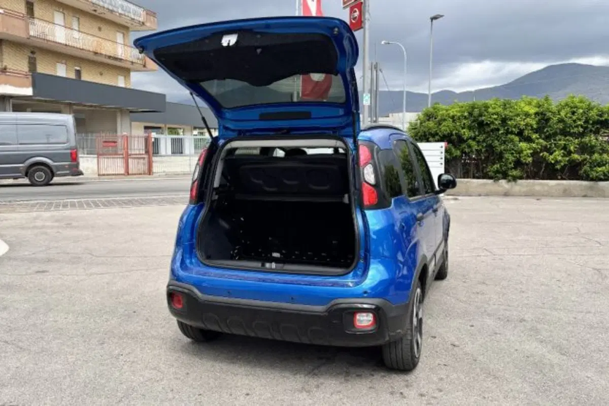 Fiat Panda Cross usata a Latina (7)
