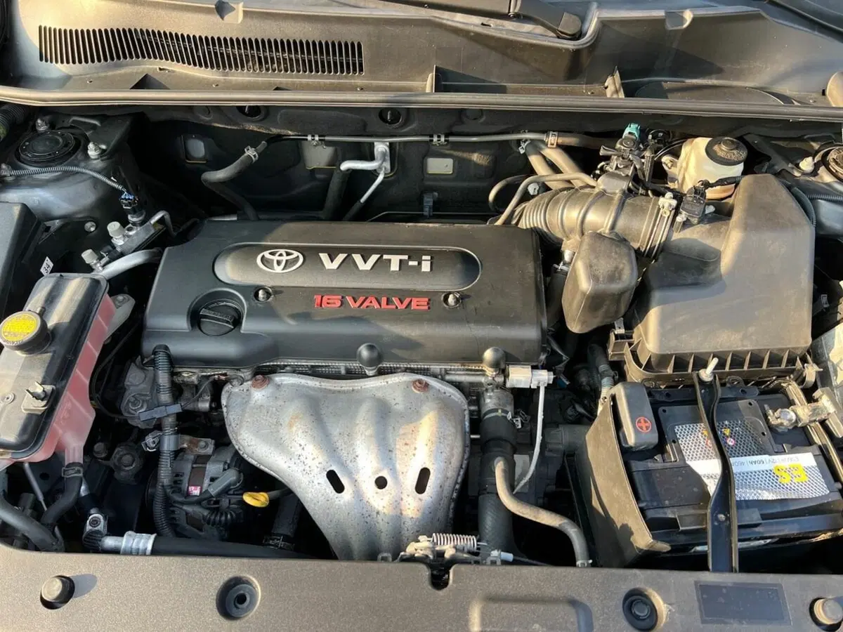 Toyota Rav4 usata a Sondrio (15)