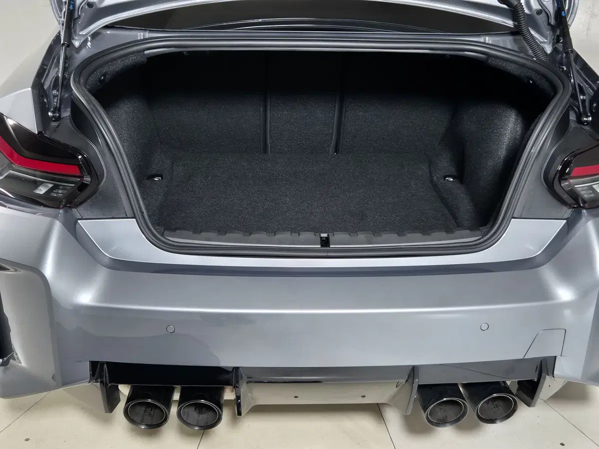 BMW Serie 2 Coupé usata a Torino (13)