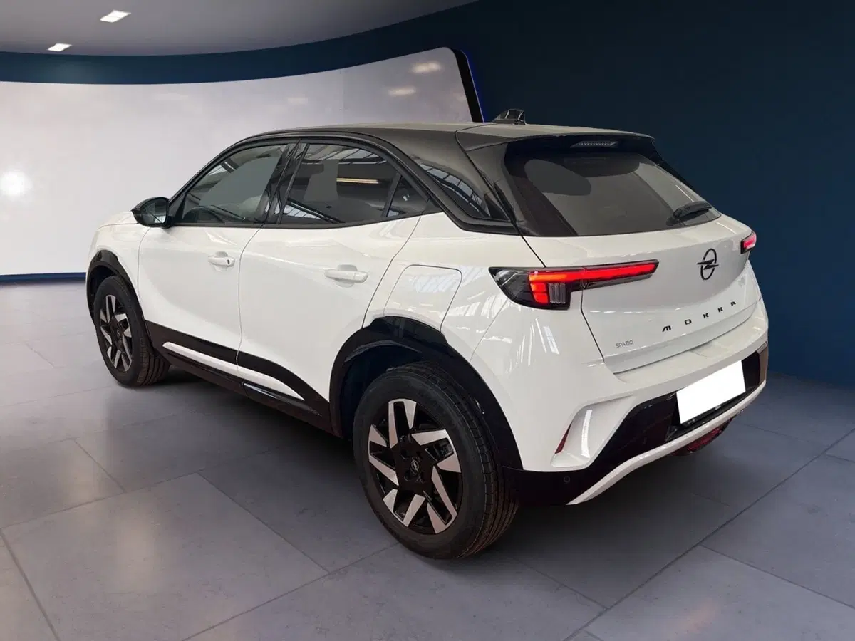 Opel Mokka usata a Torino (6)