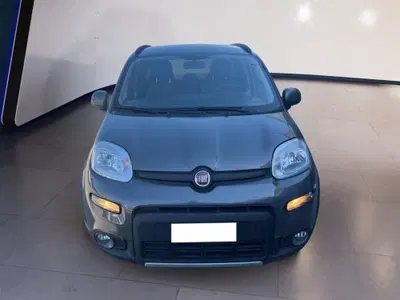 Fiat Panda 1.0 FireFly S&S Hybrid City Cross del 2023 usata a Torino