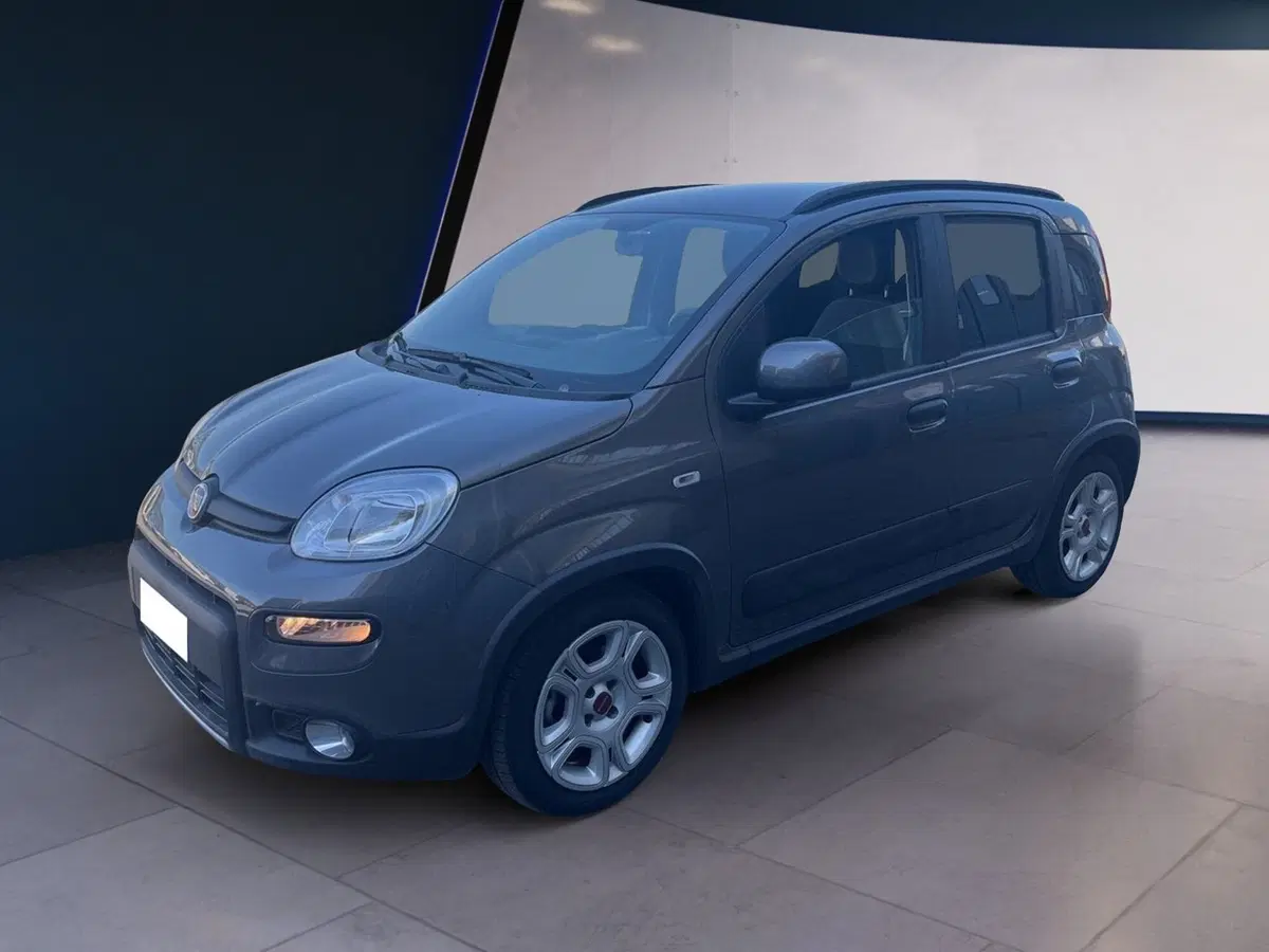 Fiat Panda usata a Torino (2)