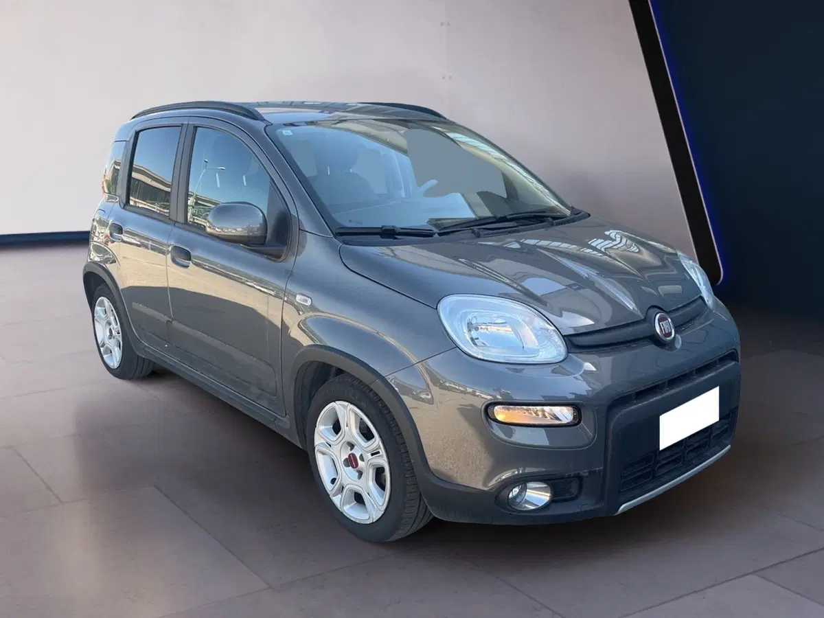 Fiat Panda usata a Torino (3)