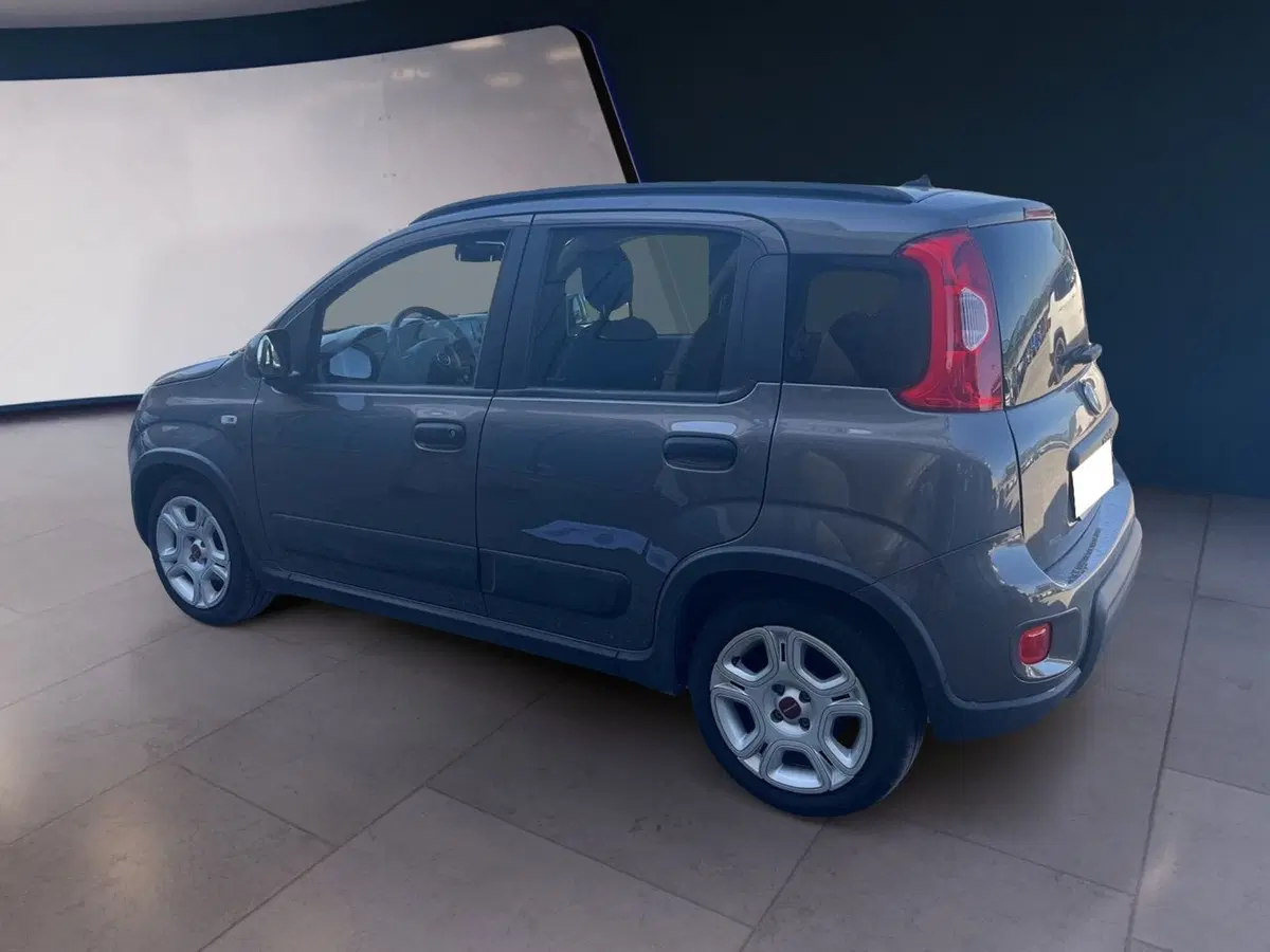 Fiat Panda usata a Torino (4)
