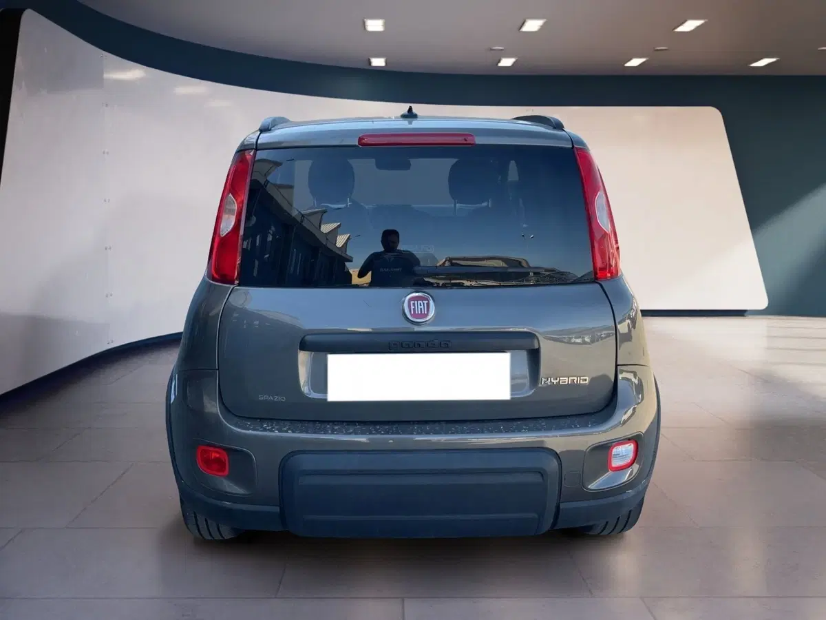 Fiat Panda usata a Torino (5)