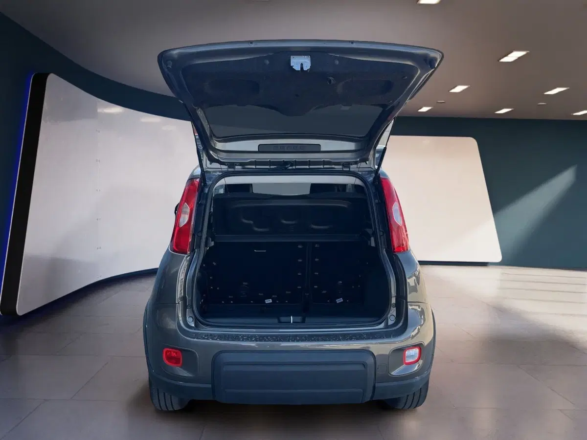 Fiat Panda usata a Torino (7)