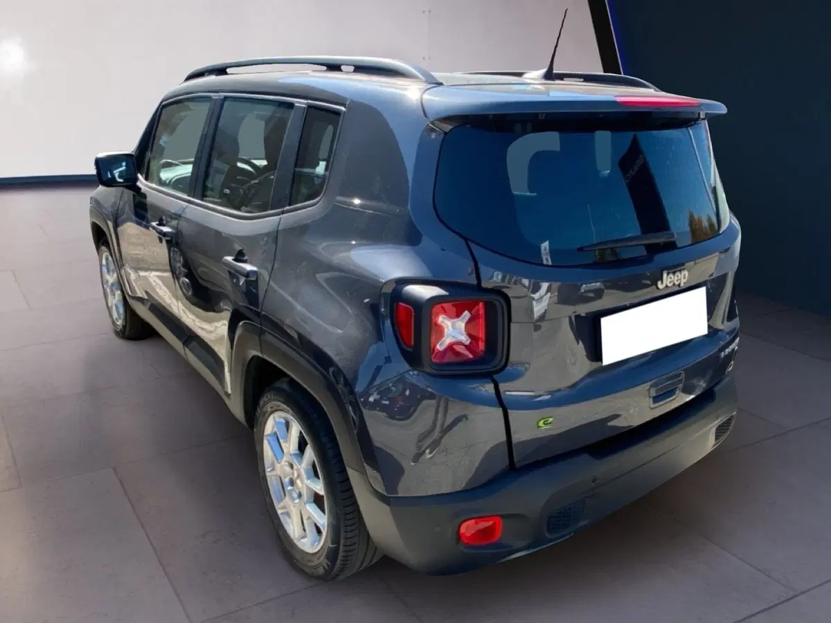 Jeep Renegade usata a Torino (7)