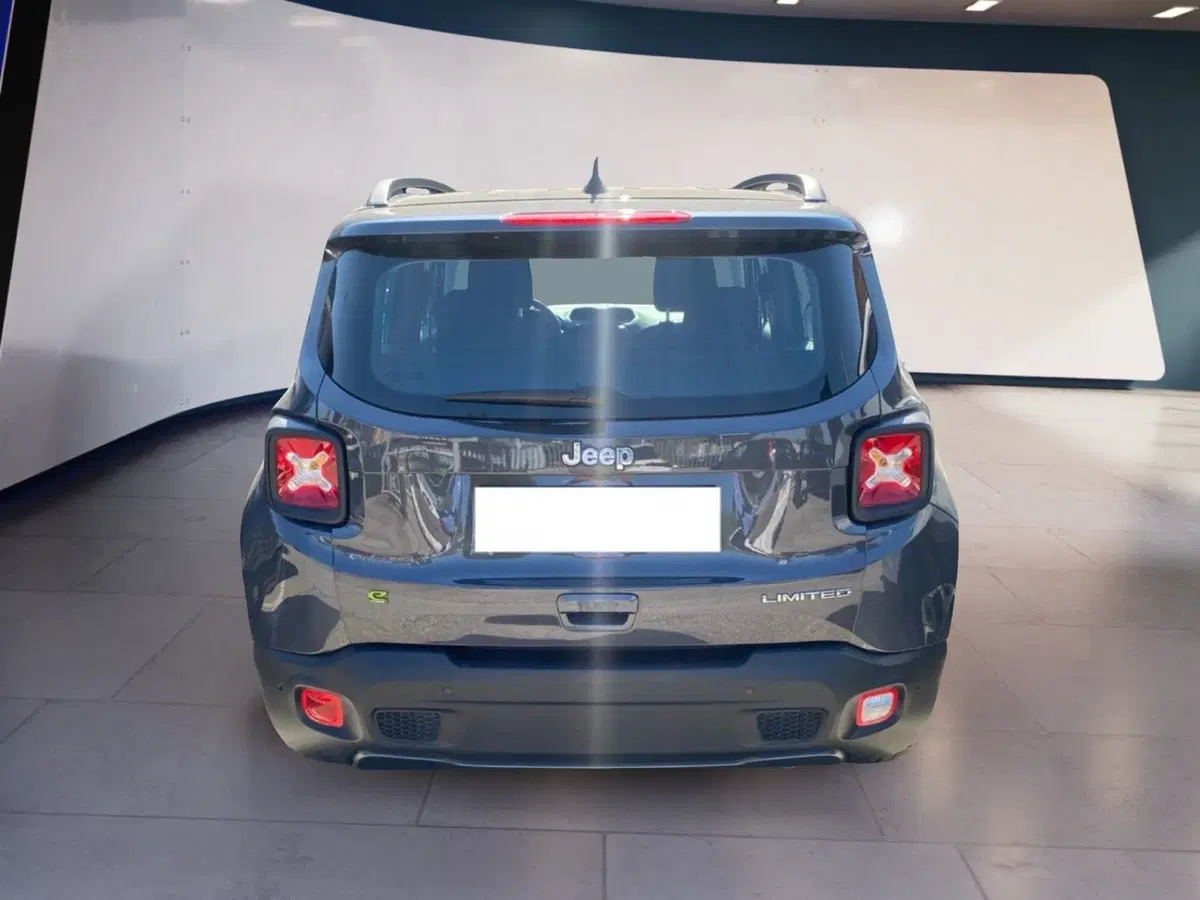 Jeep Renegade usata a Torino (8)