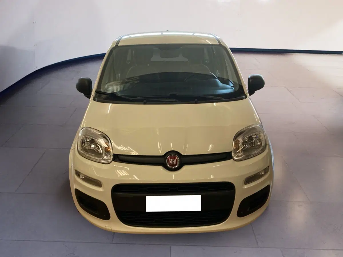 Fiat Panda usata a Torino