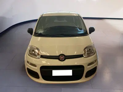 Fiat Panda 1.0 FireFly S&S Hybrid City Cross del 2022 usata a Torino