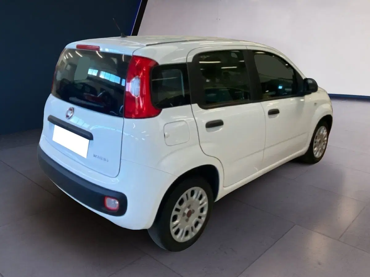 Fiat Panda usata a Torino (10)