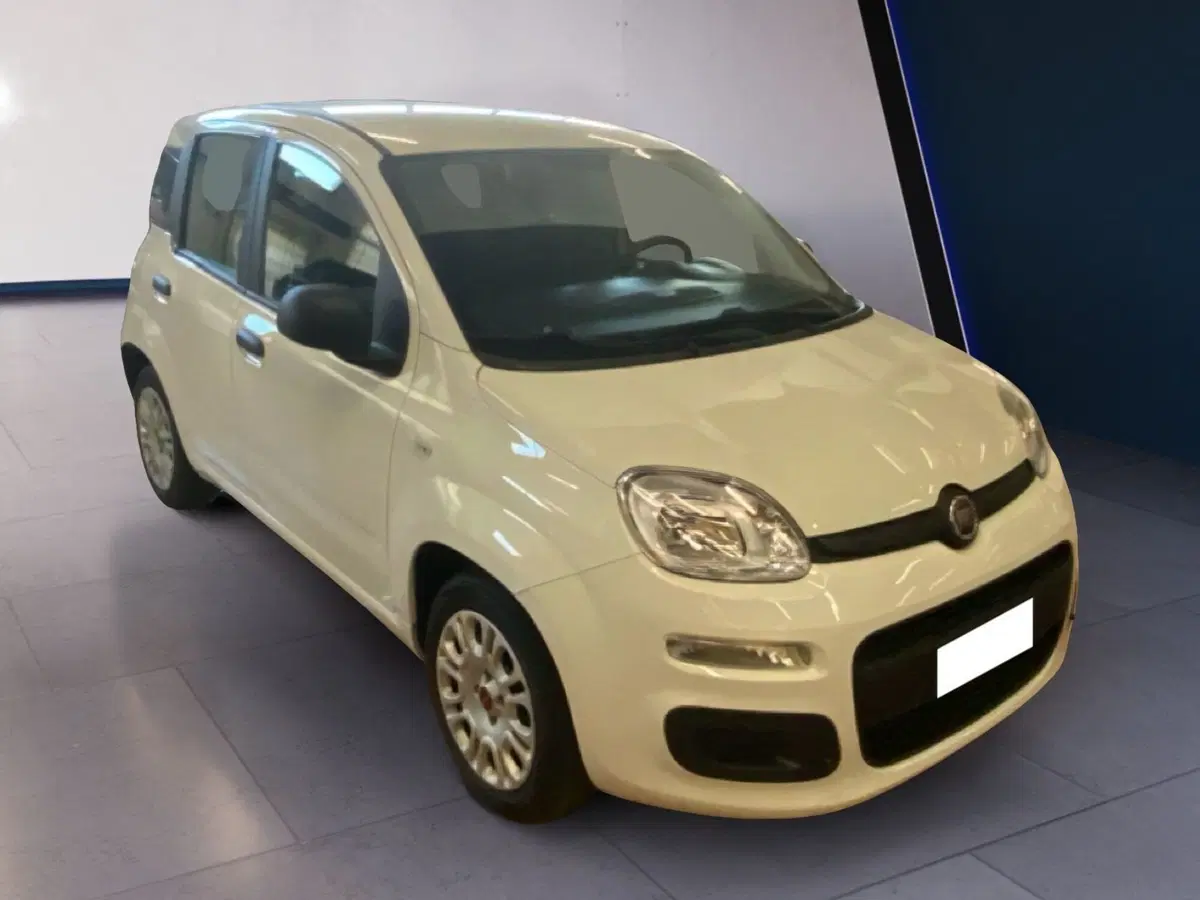 Fiat Panda usata a Torino (6)