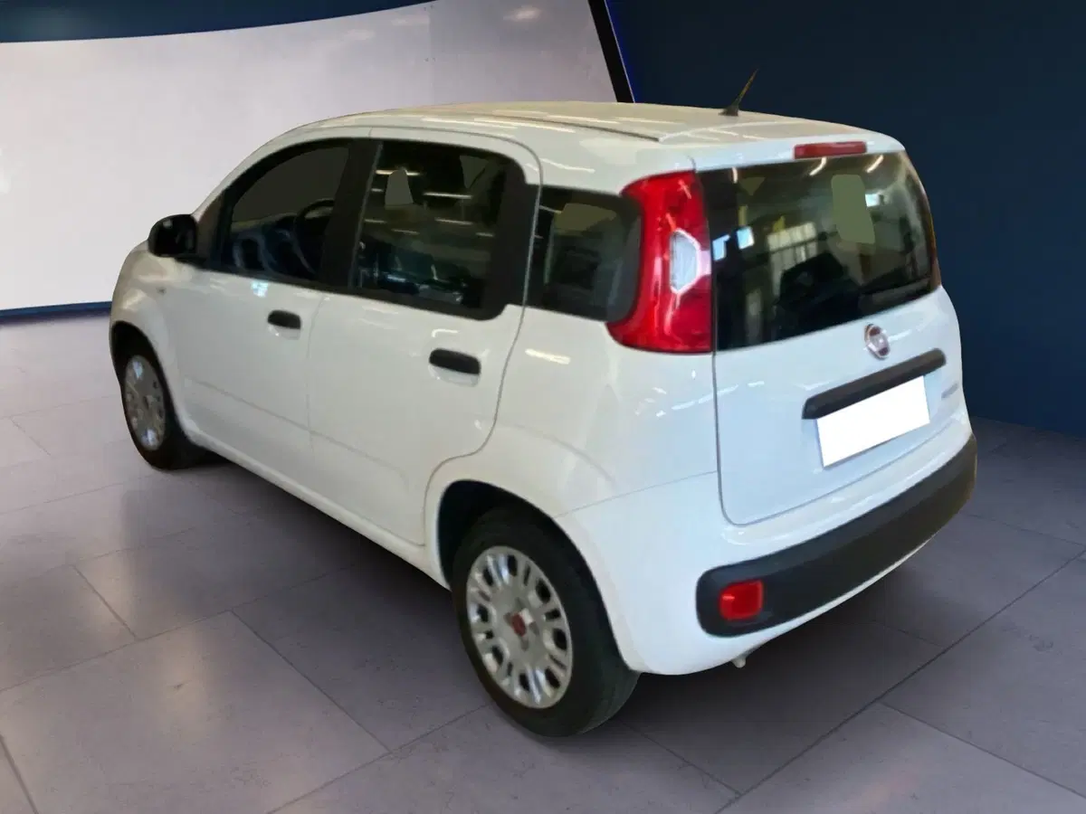 Fiat Panda usata a Torino (8)